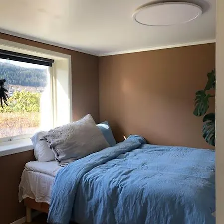 Cosy Aparment In Leilighet