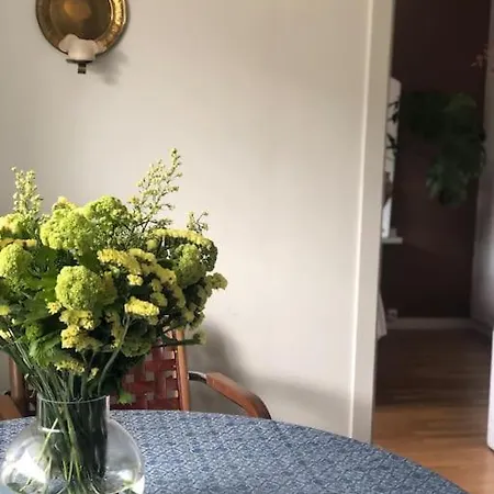 דירה Cosy Aparment In